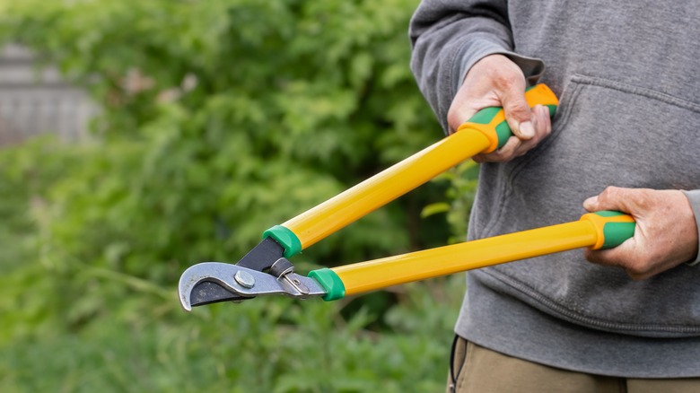 A man cuts branches using a yellow and green lopper