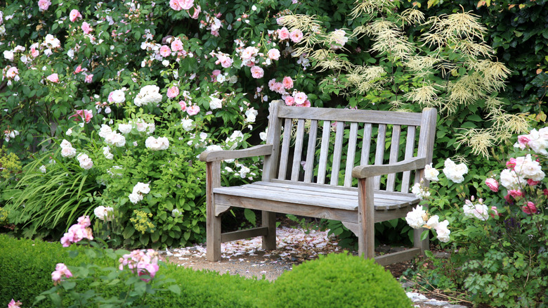 Wooden bench surrounded by flower garden