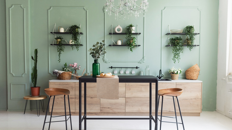 modern kitchen with green walls