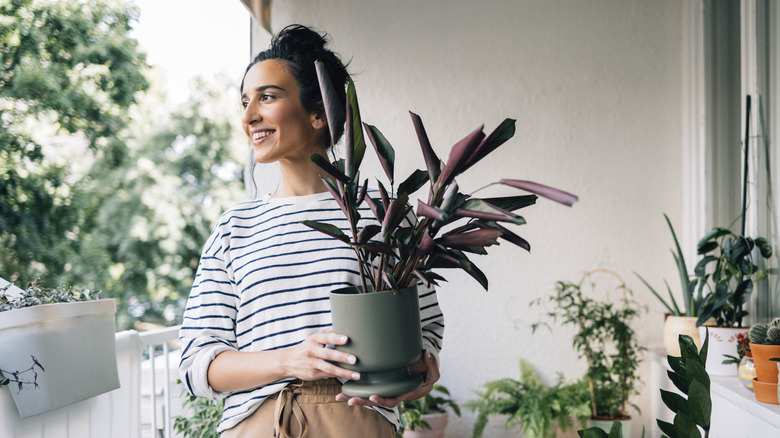 Woman holding plant