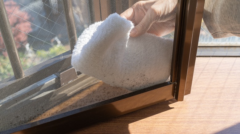 Cleaning screen door