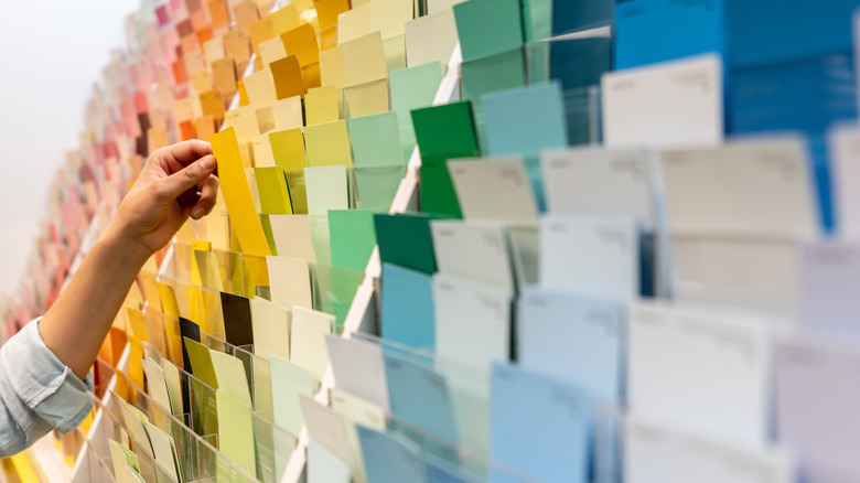 person looking at paint color samples