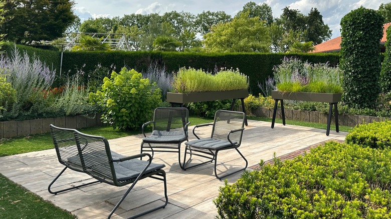 patio garden with container plants