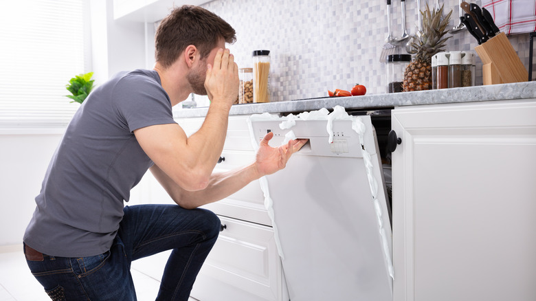 The Type Of Mess You Should Never Clean In Your Dishwasher For It To Last