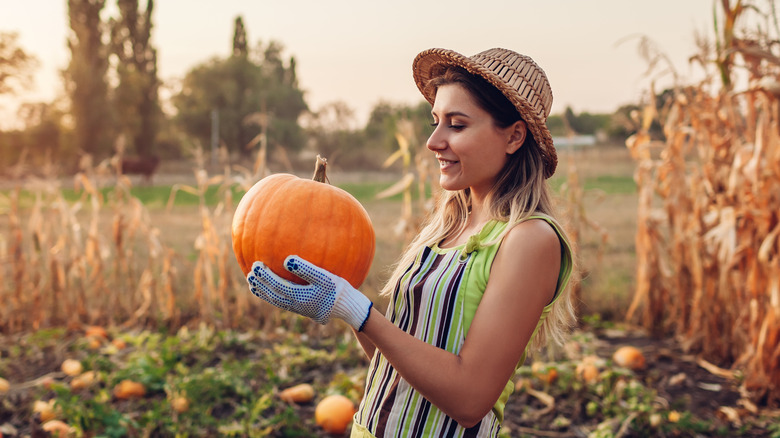 Annual pumpkin festival in Ohio