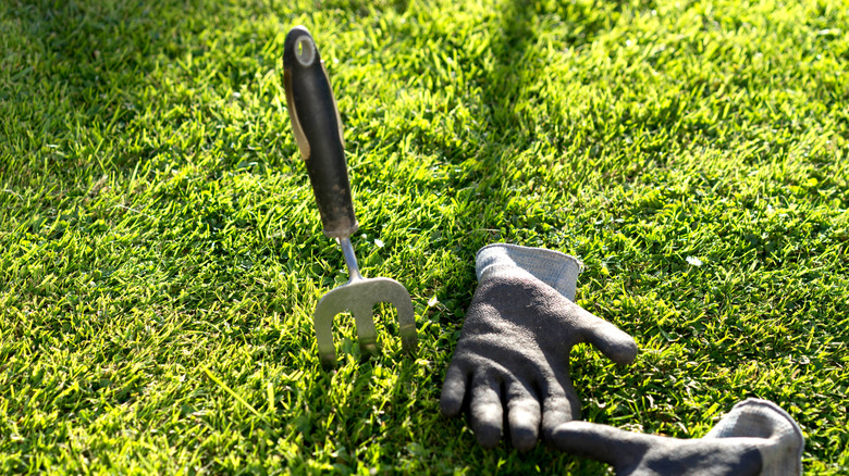 Garden fork in grass next to gardening gloves