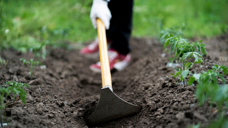 View of person's hand using a garden hoe in soil