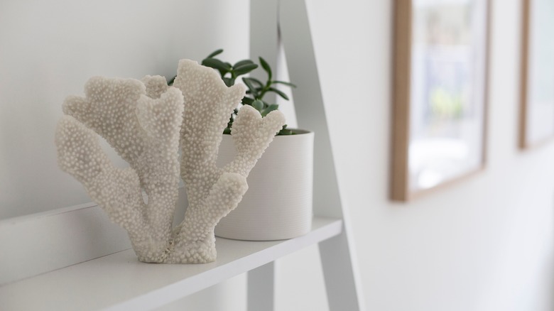 coral decoration in home