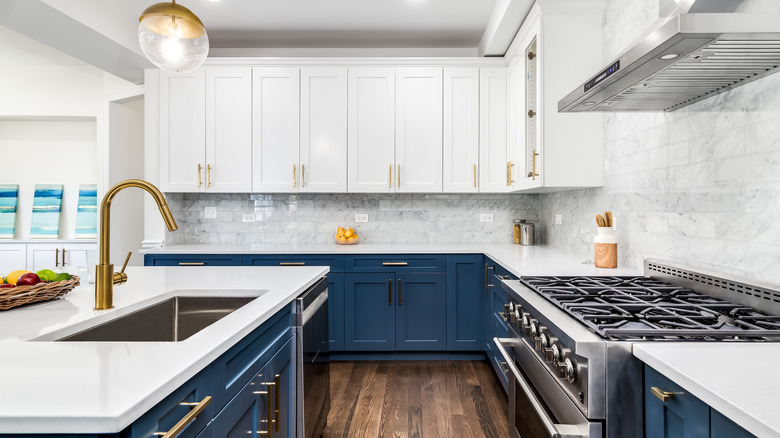 white and blue kitchen