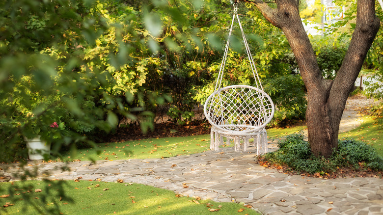 hanging chair in the backyard