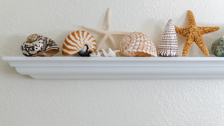 seashells on a bathroom shelf