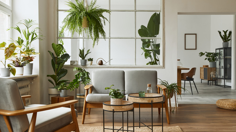 wood features and furnishings in living room