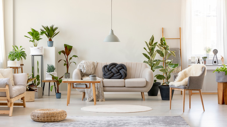 curved sofa and chair in living room