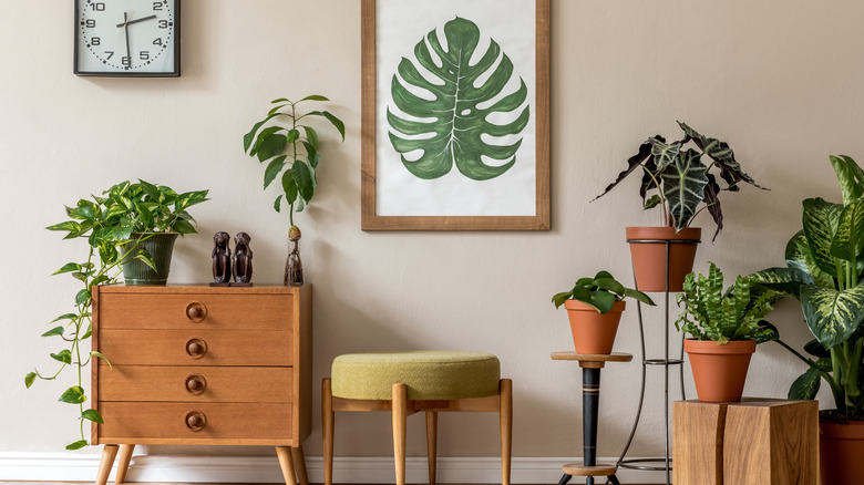 terracotta potted plants and green accents