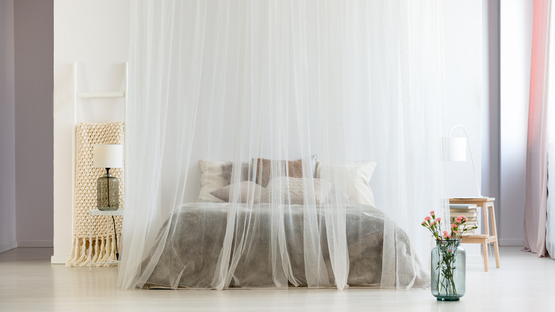 white sheer canopy over bed 