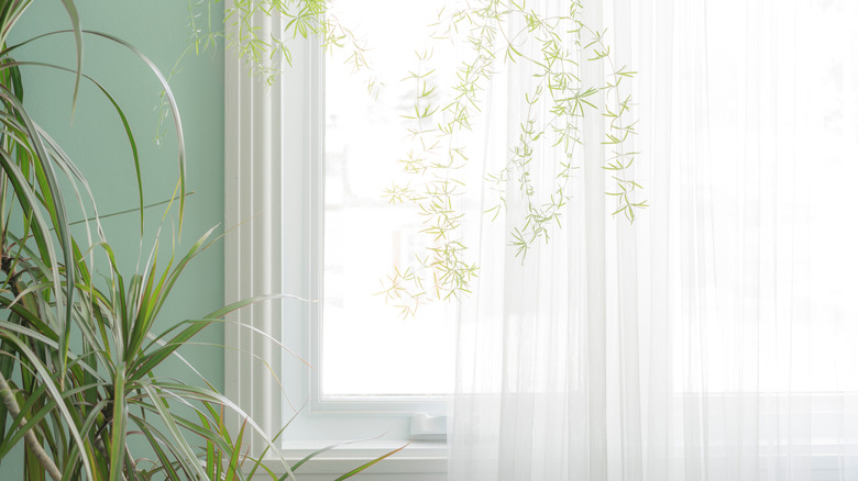 sheer white curtains on window