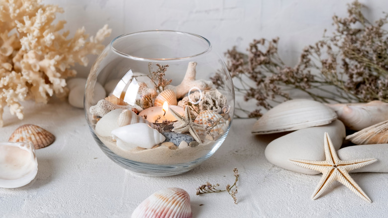 seashells and natural elements