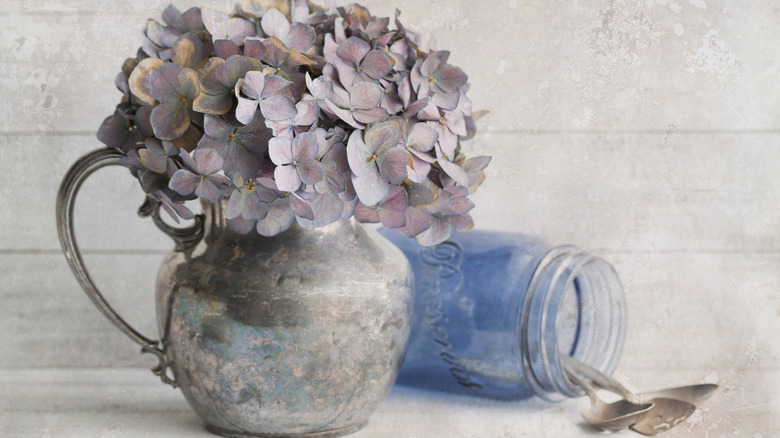 dried hydrangeas in vase