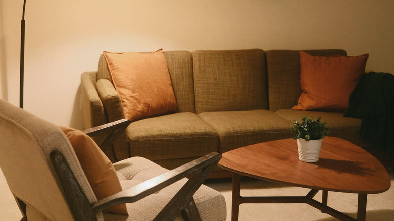 living room with earth tones