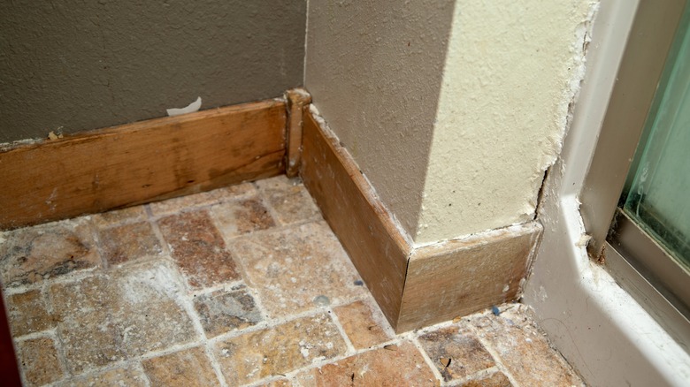 damaged baseboards