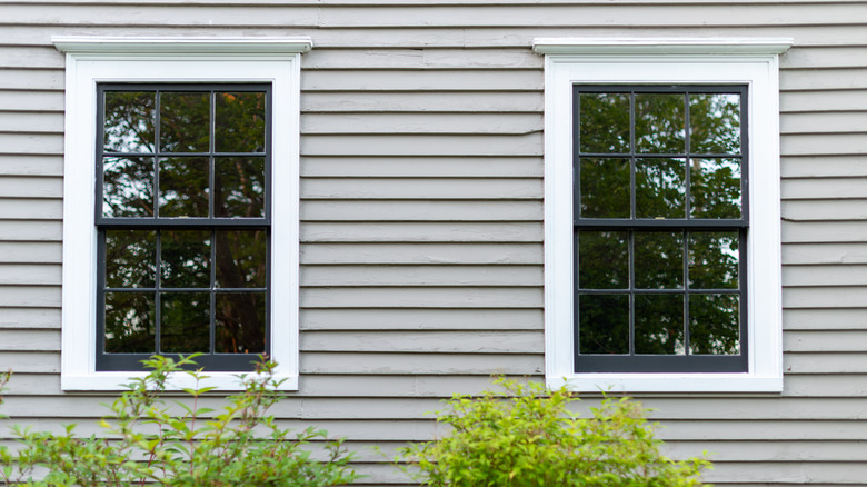 two double hung windows