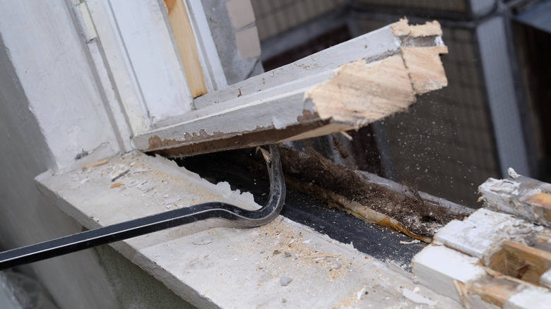 removing old window with crow bar