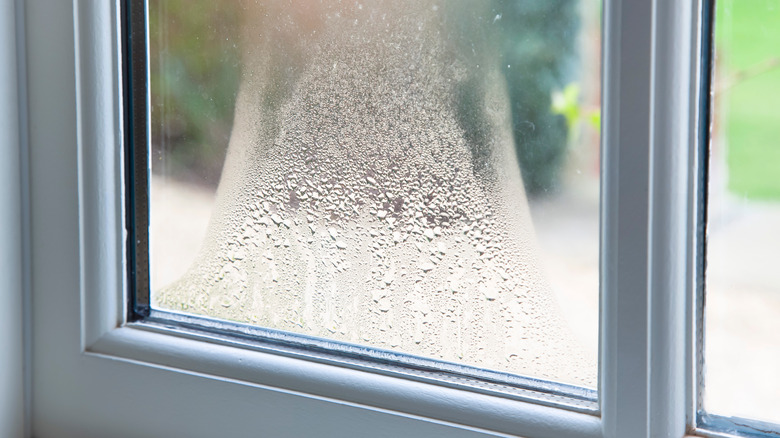 window with condensation inside