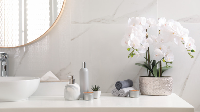 white orchids in bathroom