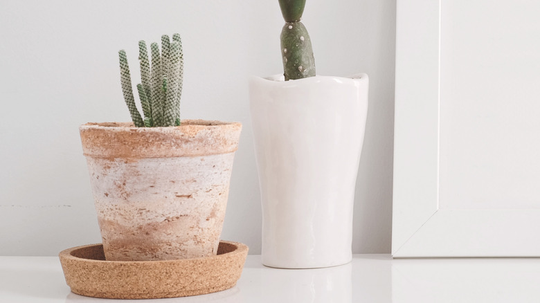 whitewashed terra cotta planter