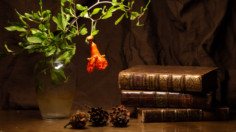 leather books and red flower