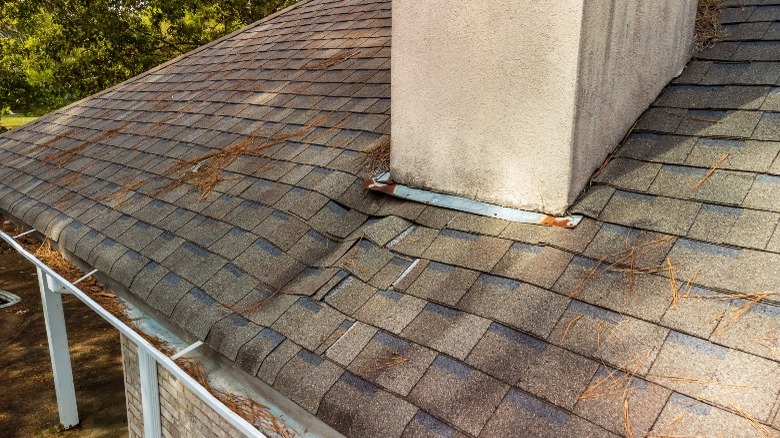 Water damaged roof shingles 