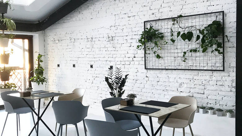 houseplants against a white painted brick wall