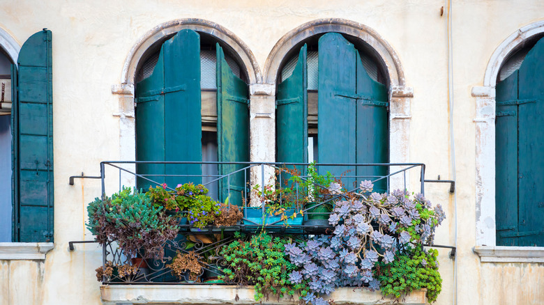 flowers growing on metal balcony