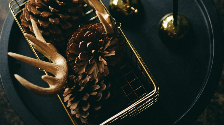 antlers and pinecones on a table