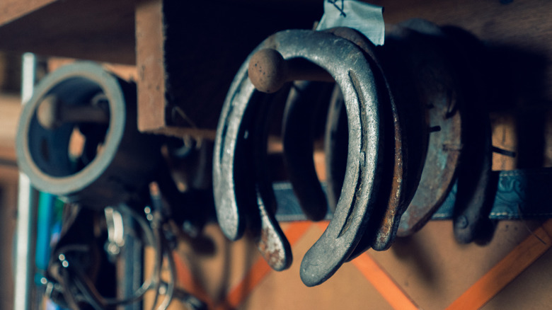 rows of old horseshoes