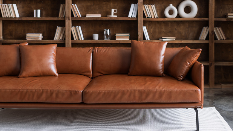 leather couch with bookshelves