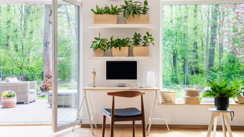 bright home office with plants