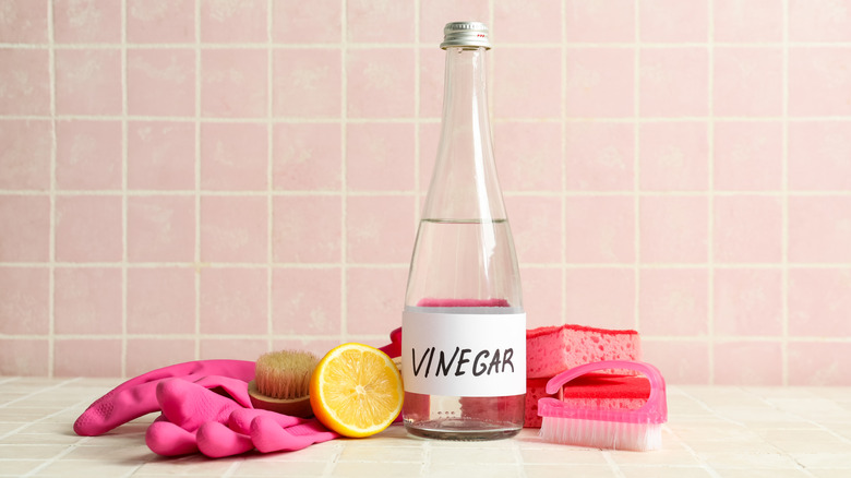 Cleaning supplies on tile with a half lemon and bottle of vinegar