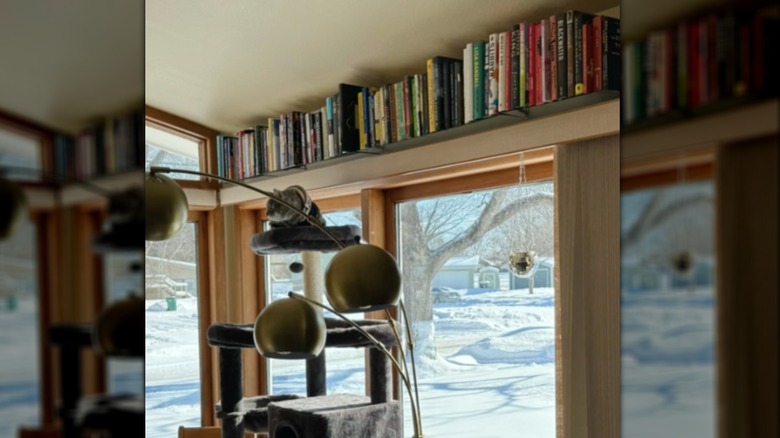 bookshelf above window 
