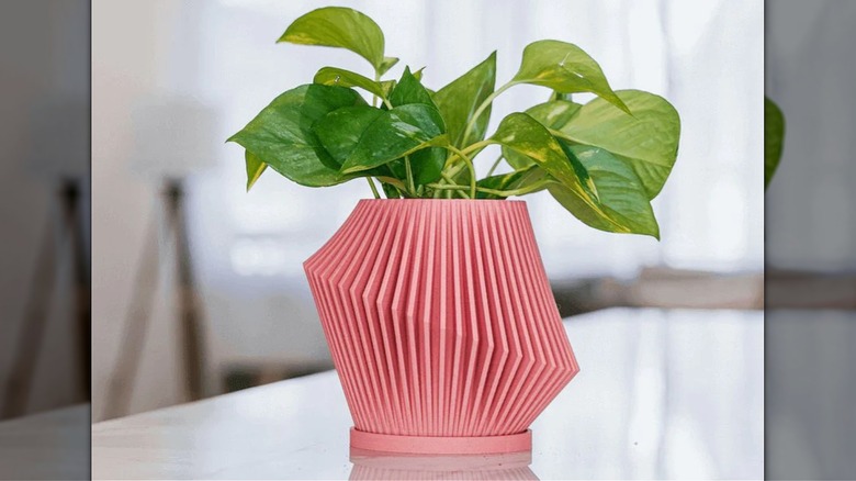 pink wood grain, geometric planter