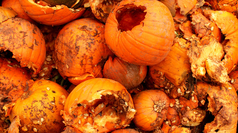Pile of decomposing pumpkins