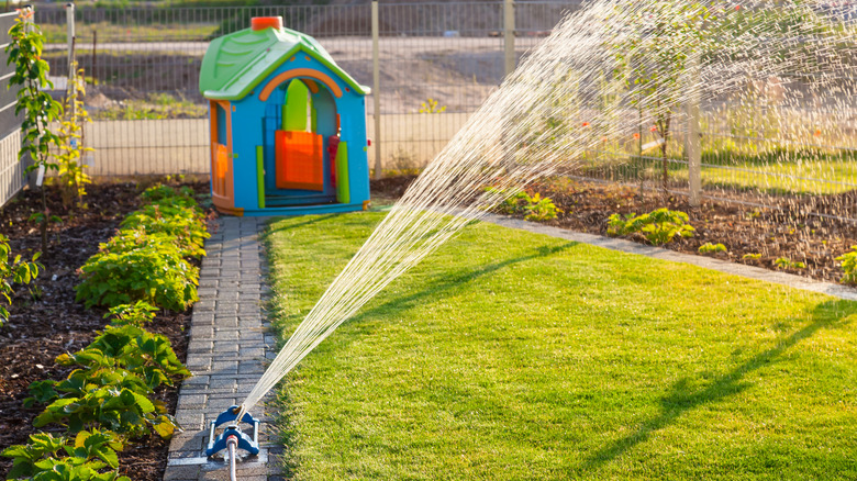 Sprinkler waters lawn and mulch