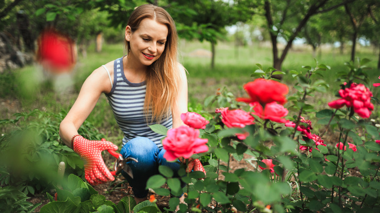 woman taking cae of flowers in garden