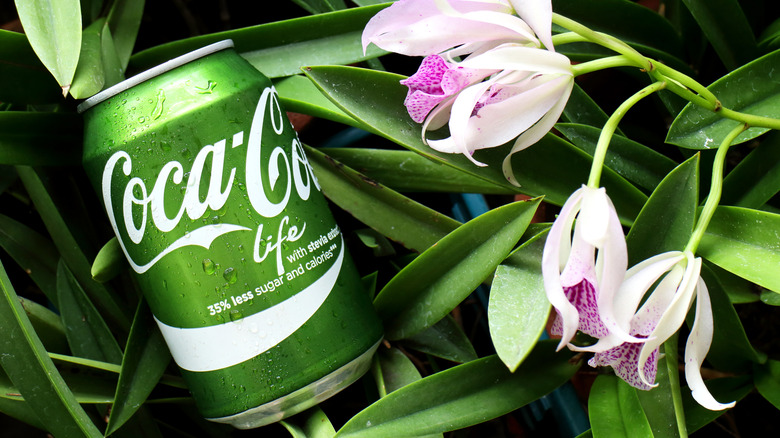 coke can in plants