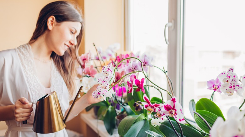 gardener watering flowers