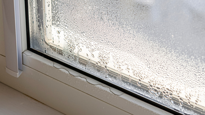 condensation building on window