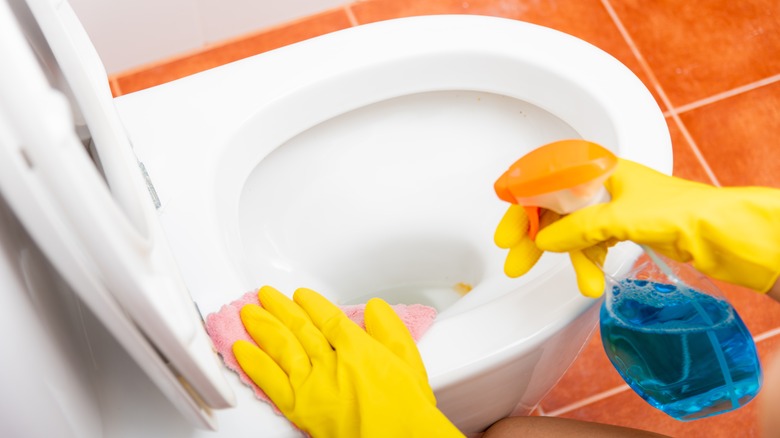 Person cleaning toilet