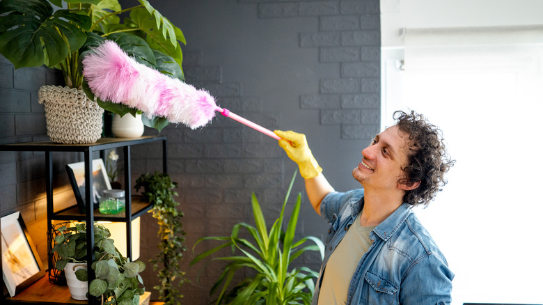 Person dusting decorative plants