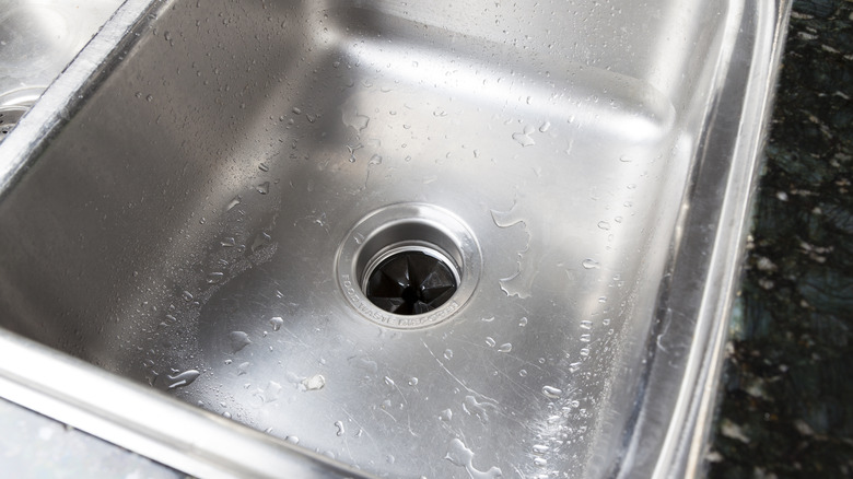 dirty garbage disposal in the sink