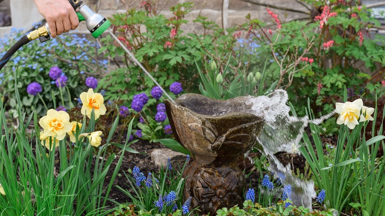 Person using hose to clean birdbath